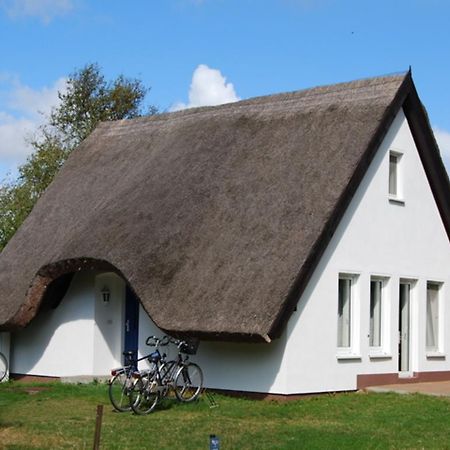 Doppelhaushaelfte In Vitte Auf Hiddensee Buitenkant foto