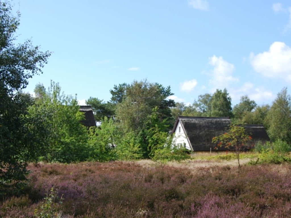 Doppelhaushaelfte In Vitte Auf Hiddensee Buitenkant foto