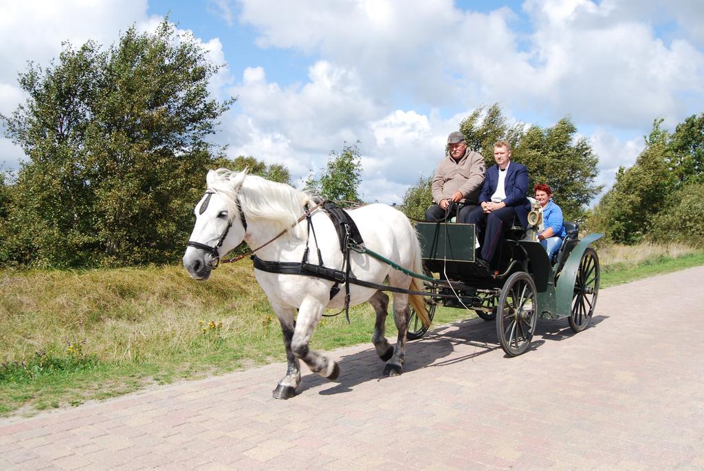 Doppelhaushaelfte In Vitte Auf Hiddensee Buitenkant foto