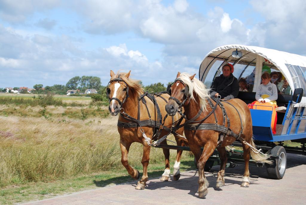 Doppelhaushaelfte In Vitte Auf Hiddensee Buitenkant foto